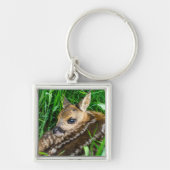 Kutest Baby Animals | Roe Deer Baby Sleutelhanger (Voorkant)