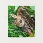 Kutest Baby Animals | Roe Deer Baby Wandkleed (Voorkant)