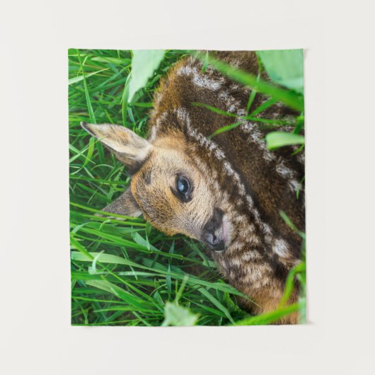 Kutest Baby Animals | Roe Deer Baby Wandkleed (Voorkant)