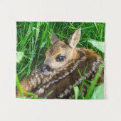 Kutest Baby Animals | Roe Deer Baby Wandkleed (Voorkant (horizontaal))