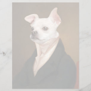 Kutest Baby Animals Royal Chihuahua Portrait