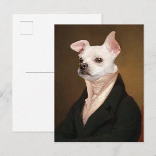Kutest Baby Animals | Royal Chihuahua Portrait Briefkaart (Voorkant / Achterkant)