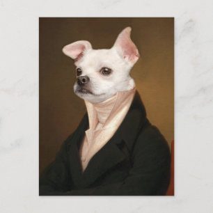 Kutest Baby Animals   Royal Chihuahua Portrait Briefkaart
