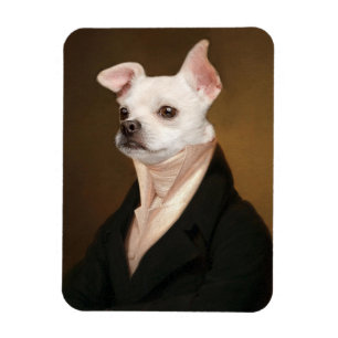 Kutest Baby Animals   Royal Chihuahua Portrait Magneet
