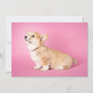 Kutest Baby Animals   Roze Corgi Puppy Bedankkaart