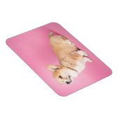 Kutest Baby Animals | Roze Corgi Puppy Magneet (Rechterzijde)