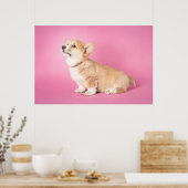 Kutest Baby Animals | Roze Corgi Puppy Poster (Keuken)