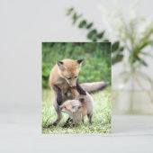 Kutest Baby Animals | Schattige Fox Kit & Mama Briefkaart (Staand voorkant)