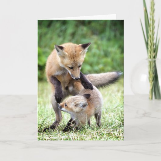 Kutest Baby Animals | Schattige Fox Kit & Mama Kaart (Voorkant)