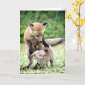 Kutest Baby Animals | Schattige Fox Kit & Mama Kaart (Gele Bloem)