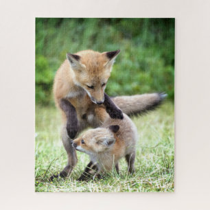 Kutest Baby Animals   Schattige Fox Kit & Mama Legpuzzel