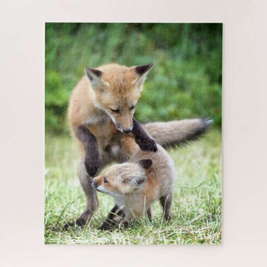 Kutest Baby Animals | Schattige Fox Kit & Mama Legpuzzel (Verticaal)