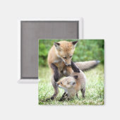 Kutest Baby Animals | Schattige Fox Kit & Mama Magneet (Voorkant / Achterkant)