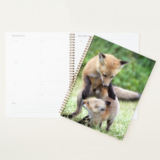 Kutest Baby Animals | Schattige Fox Kit & Mama Planner (Display)