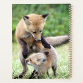 Kutest Baby Animals | Schattige Fox Kit & Mama Planner (Achterkant)