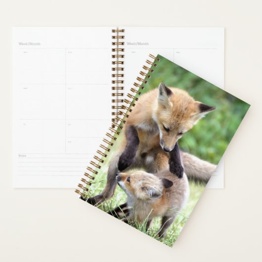 Kutest Baby Animals | Schattige Fox Kit & Mama Planner (Display)