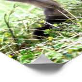 Kutest Baby Animals | Schattige Fox Kit & Mama Poster (Hoek)