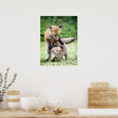 Kutest Baby Animals | Schattige Fox Kit & Mama Poster (Keuken)