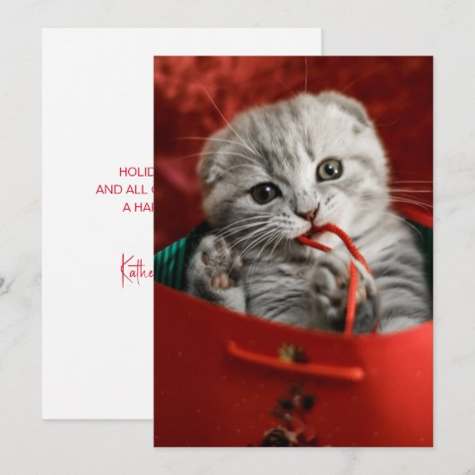 Kutest Baby Animals | Scottish Fold Kitten Bedankkaart (Voorkant / Achterkant)