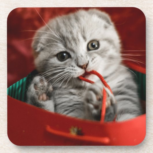 Kutest Baby Animals | Scottish Fold Kitten Bier Onderzetter (Voorkant)