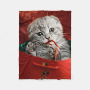 Kutest Baby Animals   Scottish Fold Kitten Fleece Deken