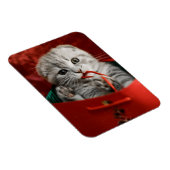 Kutest Baby Animals | Scottish Fold Kitten Magneet (Rechterzijde)