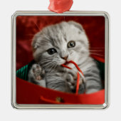 Kutest Baby Animals | Scottish Fold Kitten Metalen Ornament (Voorkant)
