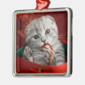 Kutest Baby Animals | Scottish Fold Kitten Metalen Ornament (Links)