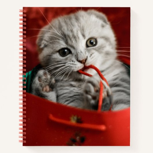Kutest Baby Animals | Scottish Fold Kitten Notitieboek (Voorkant)