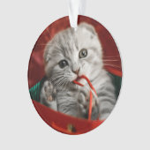 Kutest Baby Animals | Scottish Fold Kitten Ornament (voorkant)