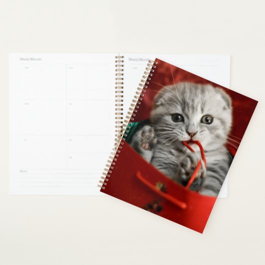 Kutest Baby Animals | Scottish Fold Kitten Planner (Display)