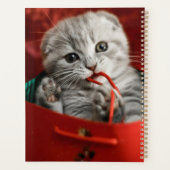 Kutest Baby Animals | Scottish Fold Kitten Planner (Achterkant)