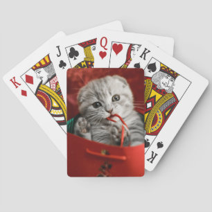 Kutest Baby Animals   Scottish Fold Kitten Pokerkaarten