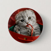 Kutest Baby Animals | Scottish Fold Kitten Ronde Button 5,7 Cm (Voorkant)