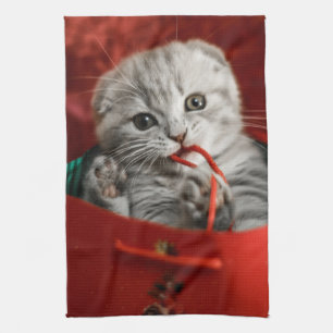 Kutest Baby Animals Scottish Fold Kitten Theedoek