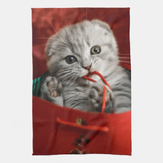 Kutest Baby Animals | Scottish Fold Kitten Theedoek (Verticaal)