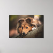 Kutest Baby Animals | Shetland Sheepdog Puppy Canvas Afdruk (Voorkant)