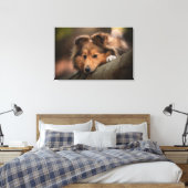 Kutest Baby Animals | Shetland Sheepdog Puppy Canvas Afdruk (Insitu (Slaapkamer))