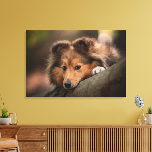 Kutest Baby Animals | Shetland Sheepdog Puppy Canvas Afdruk (Insitu (Woonkamer))