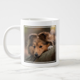 Kutest Baby Animals   Shetland Sheepdog Puppy Grote Koffiekop