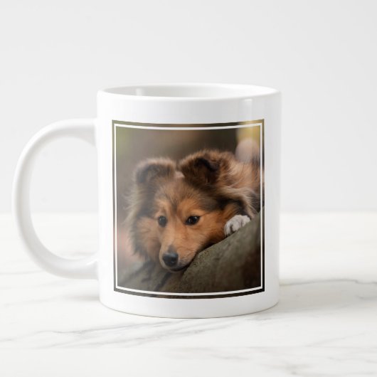 Kutest Baby Animals | Shetland Sheepdog Puppy Grote Koffiekop (Links)