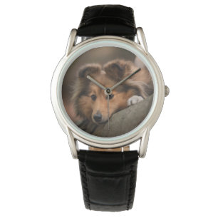 Kutest Baby Animals   Shetland Sheepdog Puppy Horloge