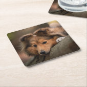 Kutest Baby Animals | Shetland Sheepdog Puppy Kartonnen Onderzetters (Schuin)