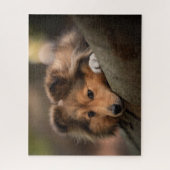 Kutest Baby Animals | Shetland Sheepdog Puppy Legpuzzel (Verticaal)