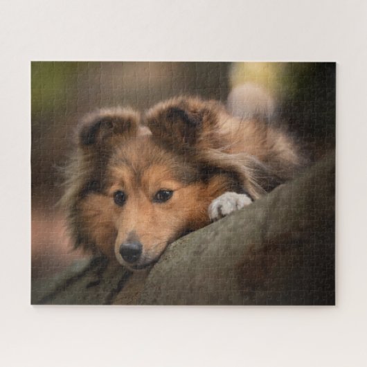 Kutest Baby Animals | Shetland Sheepdog Puppy Legpuzzel (Horizontaal)