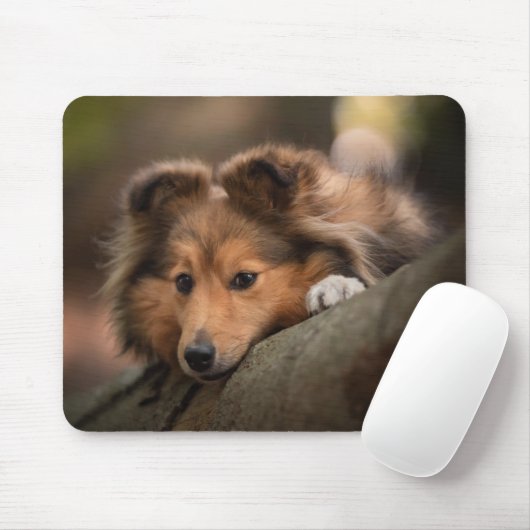 Kutest Baby Animals | Shetland Sheepdog Puppy Muismat (Met muis)