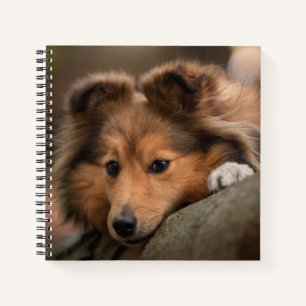 Kutest Baby Animals Shetland Sheepdog Puppy Notitieboek