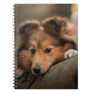Kutest Baby Animals Shetland Sheepdog Puppy Notitieboek