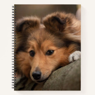 Kutest Baby Animals   Shetland Sheepdog Puppy Notitieboek