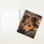 Kutest Baby Animals | Shetland Sheepdog Puppy Planner (Display)